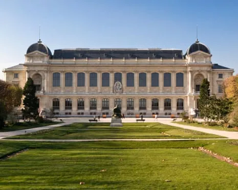Historic Gold Samples Snatched in Bold Heist at France's National Museum
