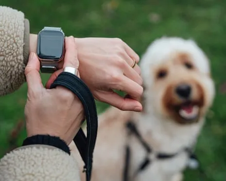 The Reality Regarding Fitness Trackers? Daily Existence Improves Without a Hectoring Device on Your Wrist